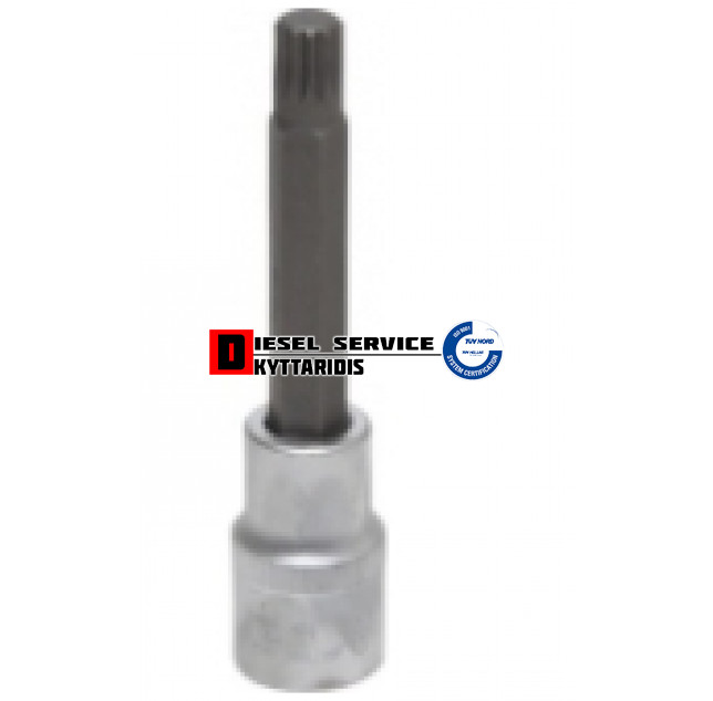 Καρυδάκι 1/2