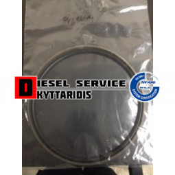 Τσιμούχα φρένου