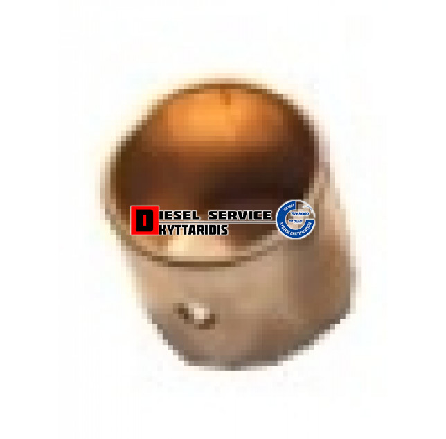 Δαχτυλίδι μπιέλας