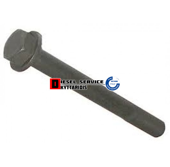 Βίδα κεφαλής L=119mm