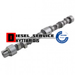 Εκκεντροφόρος