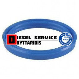 Τσιμούχα υδραυλικού 120*100*10 VIIRL