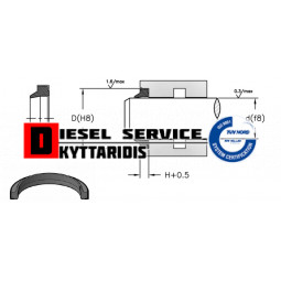 Τσιμούχα υδραυλικού ξύστρα 80*70*7/10 WXM