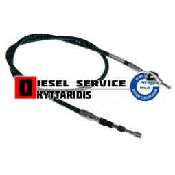 Ντίζα ποδαρίκου