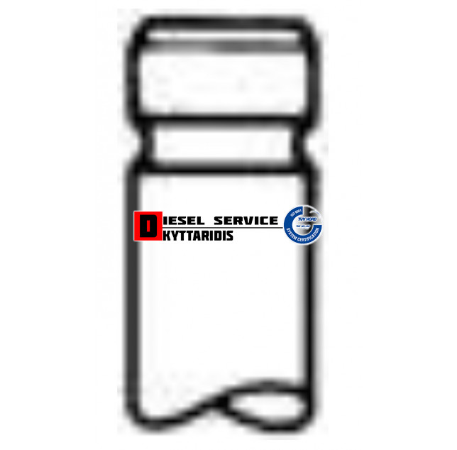 Βαλβίδα εισαγωγής