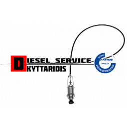 Ντίζα σβησίματος