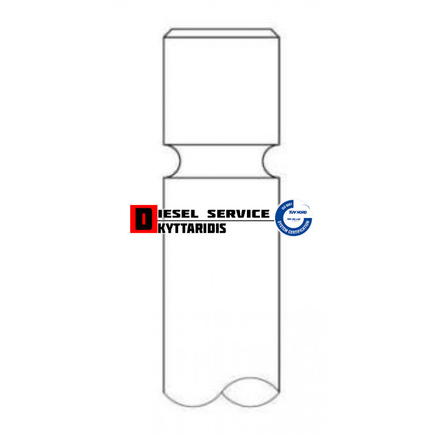 Βαλβίδα εξαγωγής