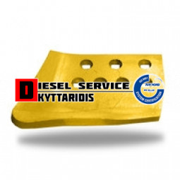 Ακρολέπιδο R