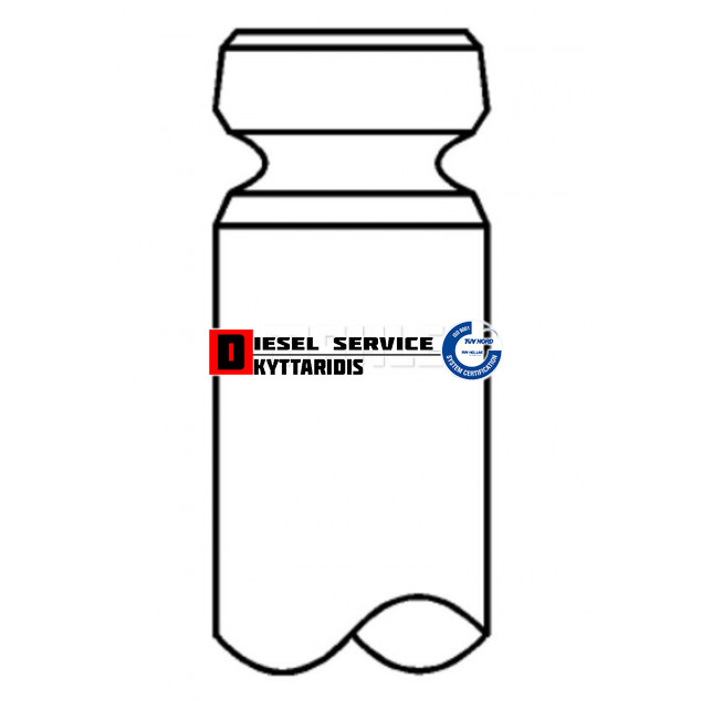 Βαλβίδα εισαγωγής