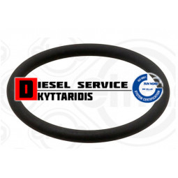 Λαστιχάκι εισαγωγής