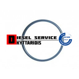 Ο-RING αντλίας τιμονιού