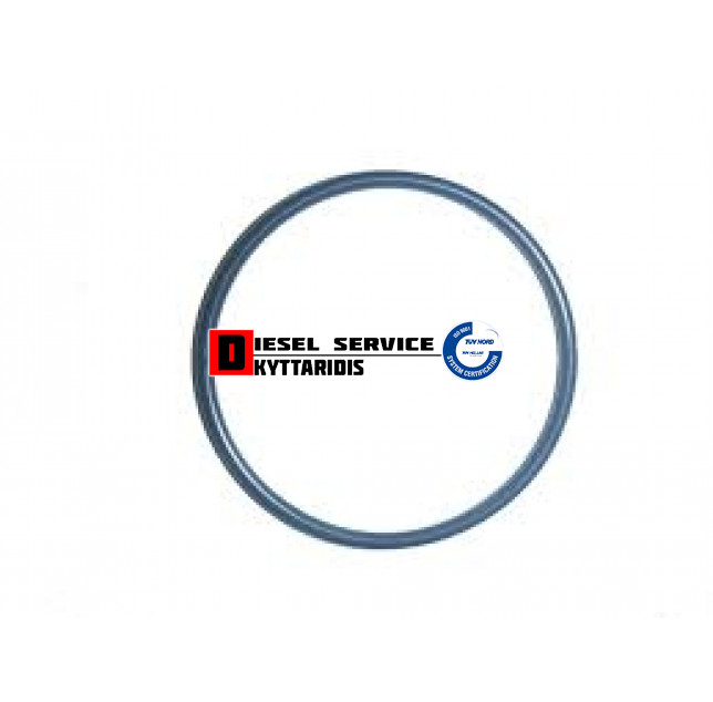 Ο-RING αντλίας τιμονιού