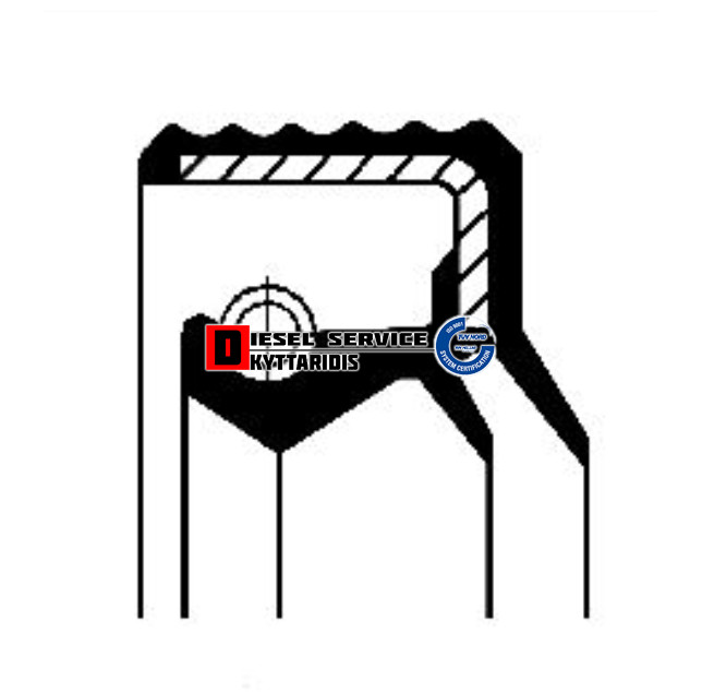 Τσιμούχα Τσιμούχα