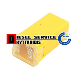 Ασφάλεια ηλεκτρική 60A