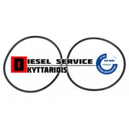 Ο-RING ημιαξονίων σετ