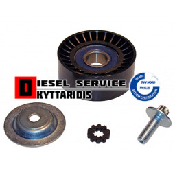 Ρουλεμάν τρελό