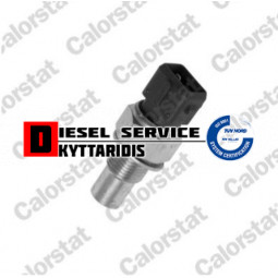 Φούσκα θερμοκρασίας