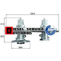 Θερμοστάτη