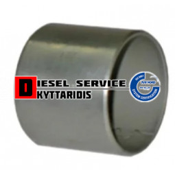 Δαχτυλίδι μπιέλας