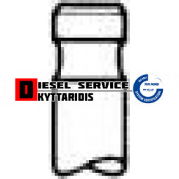 Βαλβίδα εισαγωγής