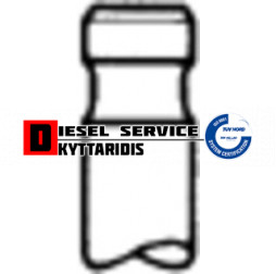 Βαλβίδα εξαγωγής