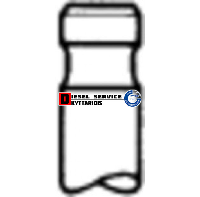 Βαλβίδα εξαγωγής