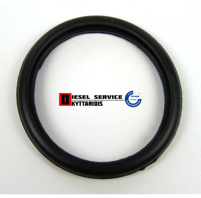 Λάστιχο θερμοστάτη