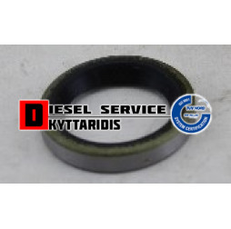 Τσιμούχα 35*25*6 R