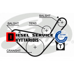 Ιμάντα χρονισμού