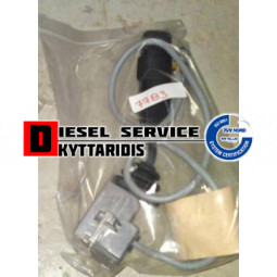 Διακόπτης πιλότου