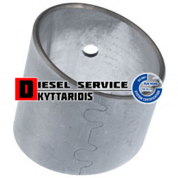 Δαχτυλίδι μπιέλας