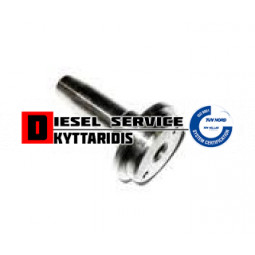 Αξονάκι αντλίας νερού