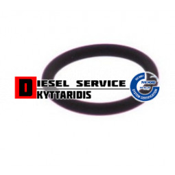 Ο-RING 20.9*3 Vidon